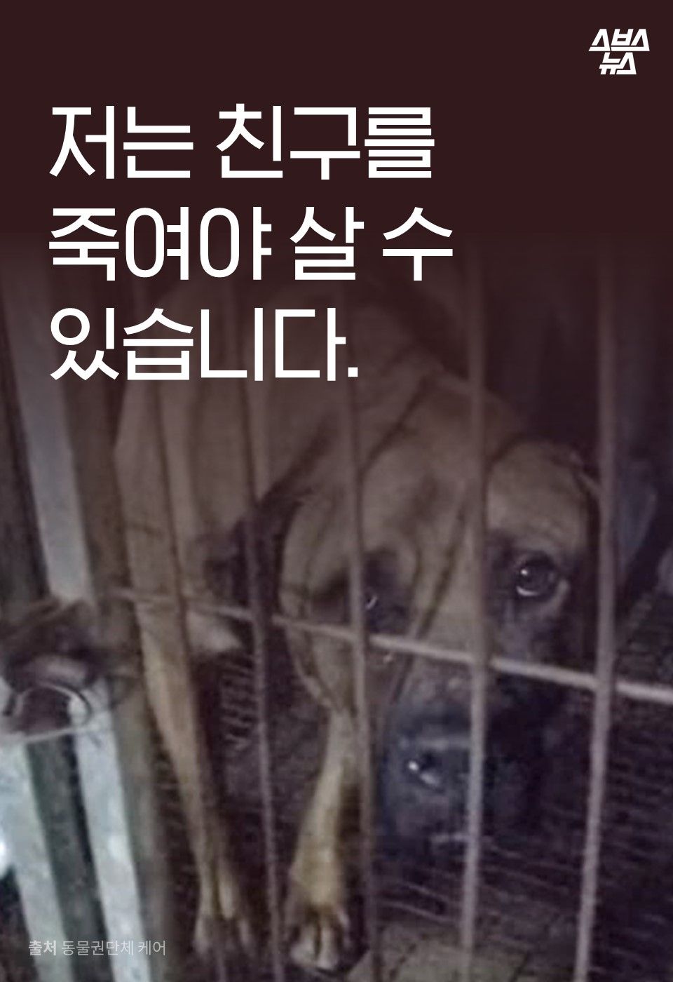 저는 친구를
죽여야 살 수
있습니다.

