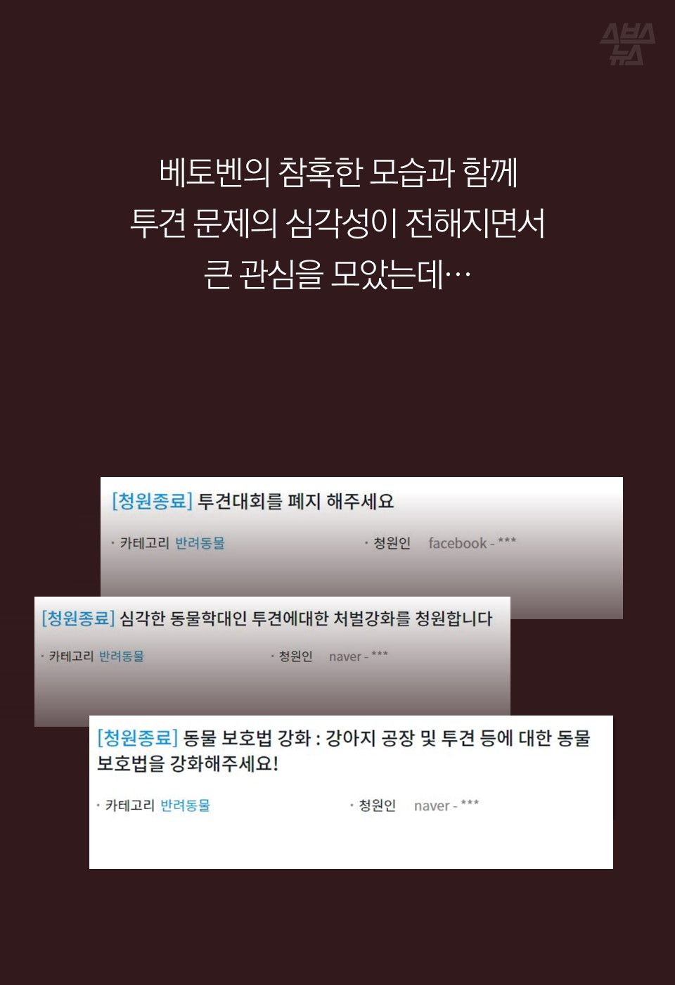 베토벤의 참혹한 모습과 함께
투견 문제의 심각성이 전해지면서
큰 관심을 모았는데…
