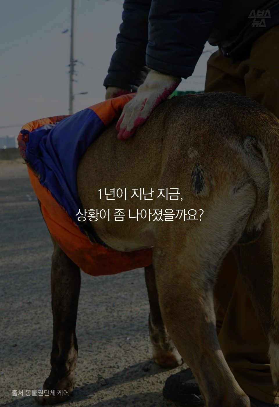 1년이 지난 지금,  
상황이 좀 나아졌을까요?
