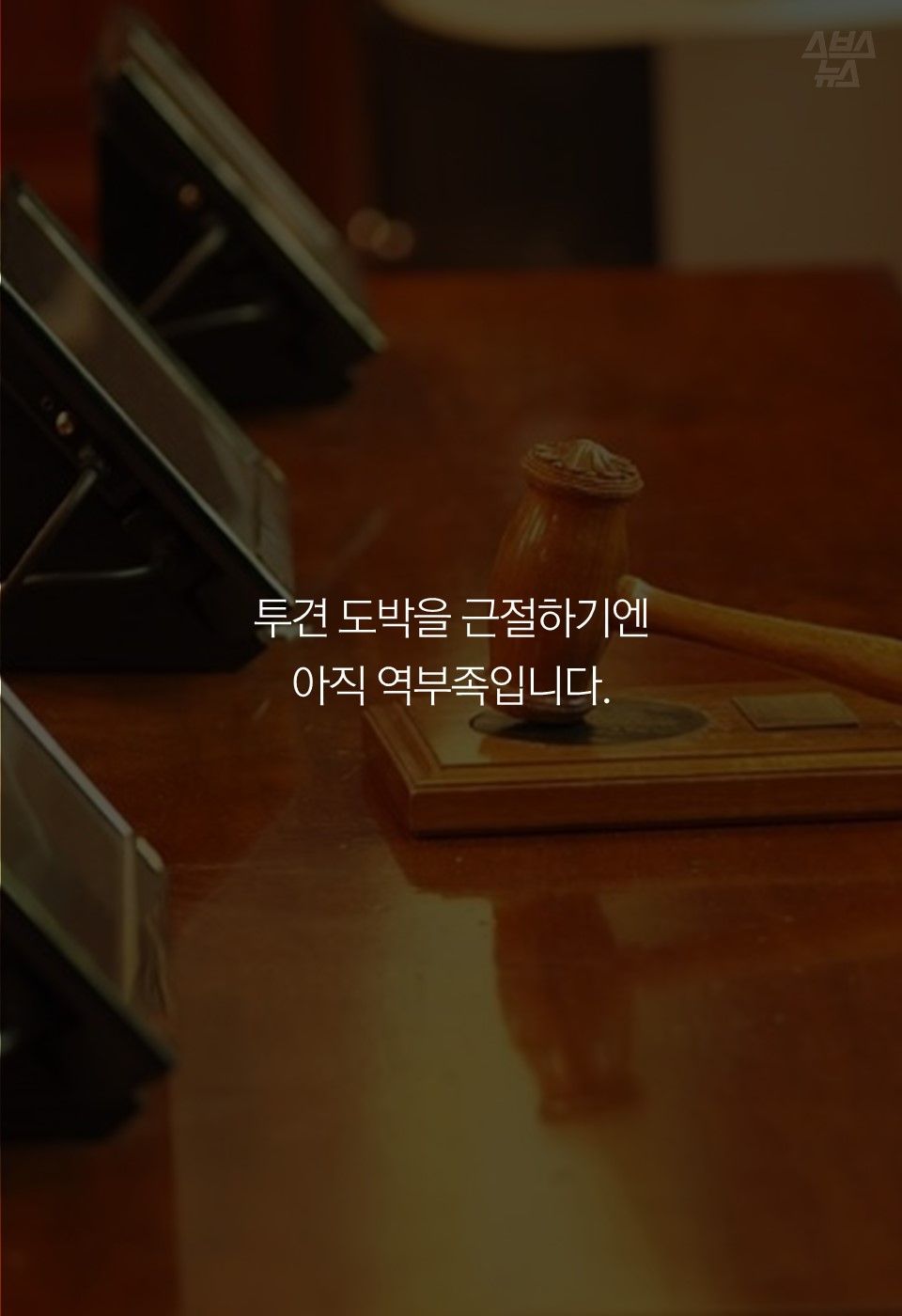 투견 도박을 근절하기엔
아직 역부족입니다.
