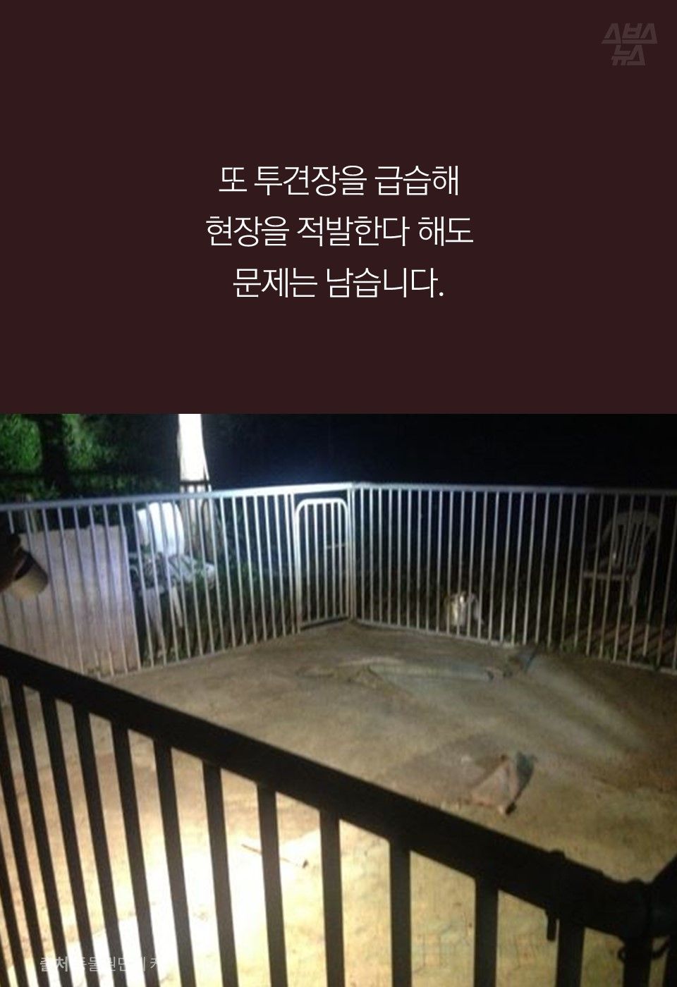 또 투견장을 급습해 
현장을 적발한다 해도 
문제는 남습니다.
