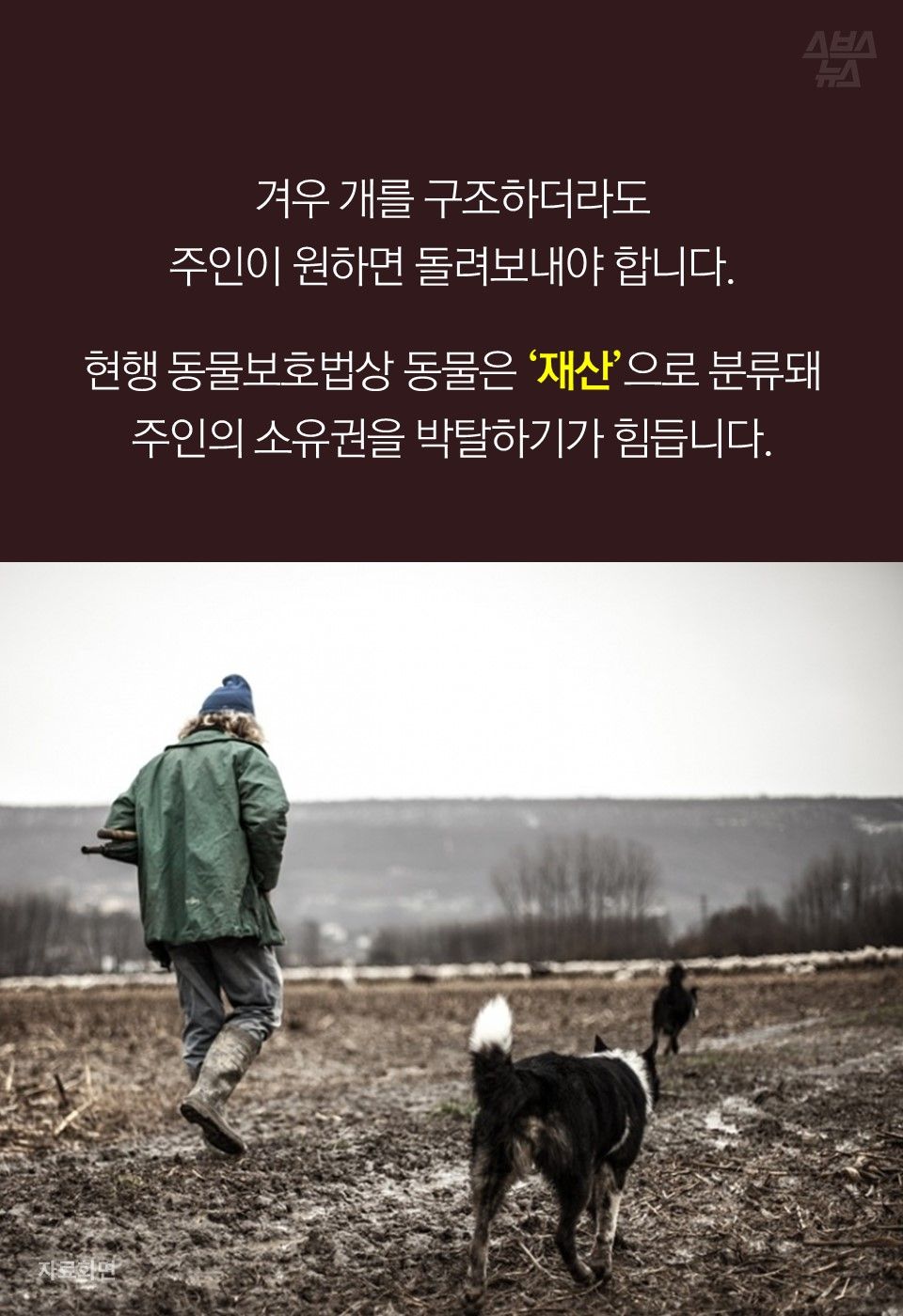 겨우 개를 구조하더라도
주인이 원하면 돌려보내야 합니다.
 
현행 동물보호법상 동물은 ‘재산’으로 분류돼  
주인의 소유권을 박탈하기가 힘듭니다.
