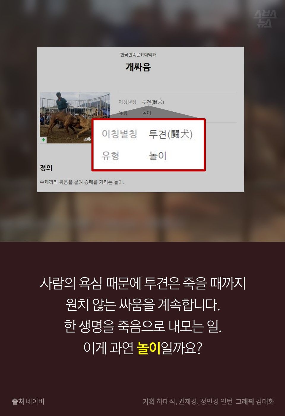 사람의 욕심 때문에 투견은 죽을 때까지
원치 않는 싸움을 계속합니다.
한 생명을 죽음으로 내모는 일. 
이게 과연 놀이일까요?
