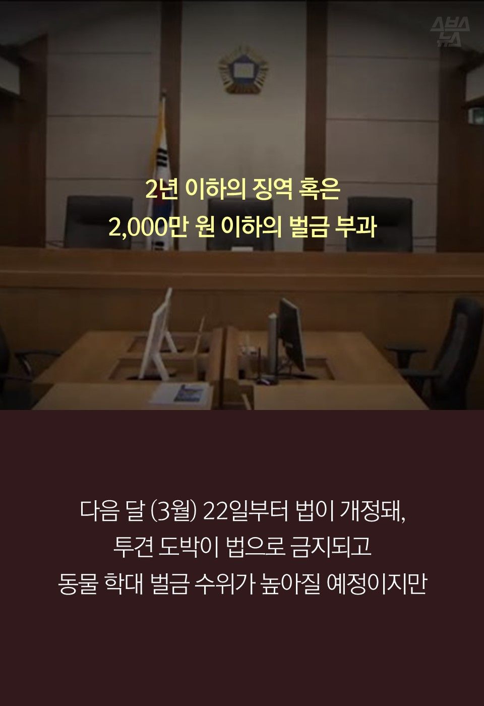 2년 이하의 징역 혹은 
2,000만 원 이하의 벌금 부과

다음 달 (3월) 22일부터 법이 개정돼,
투견 도박이 법으로 금지되고 
동물 학대 벌금 수위가 높아질 예정이지만
