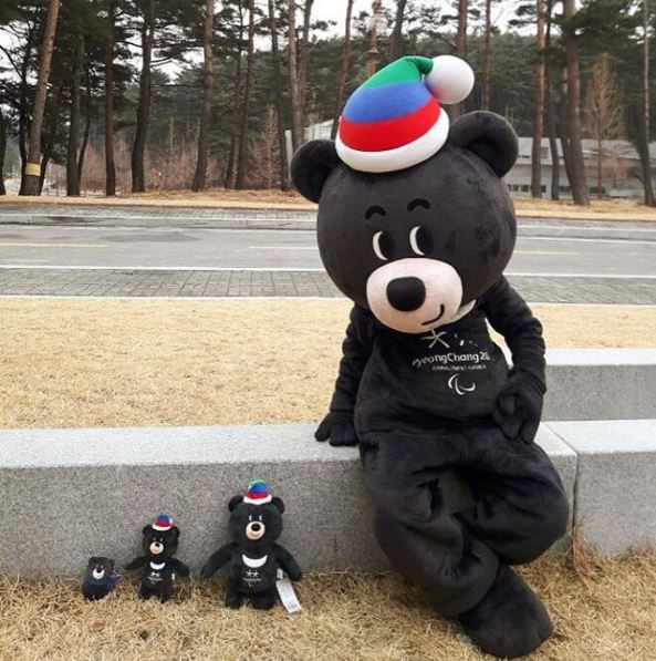반다비에게 자리 내준 수호랑의 최후