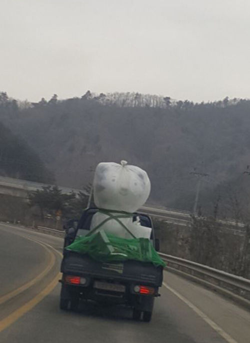 반다비에게 자리 내준 수호랑의 최후