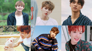 [SBS Star] Idol Members Who May Have Ended Up as Farmers
