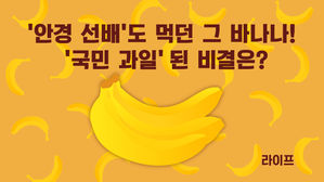 [라이프] '안경 선배'도 먹던 그 바나나! '국민 과일' 된 비결은?