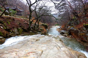 [라이프] 길 위에서 꿈을 꾸다 - 문경새재 과거길 ①
