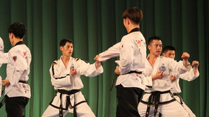 한국 태권도시범단, 모레 평양 간다