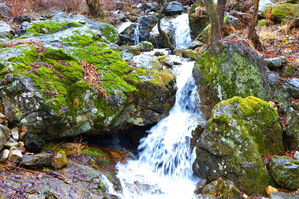 [라이프] 오래된 길 위에서 이야기를 듣다 - 문경새재 과거길 ②