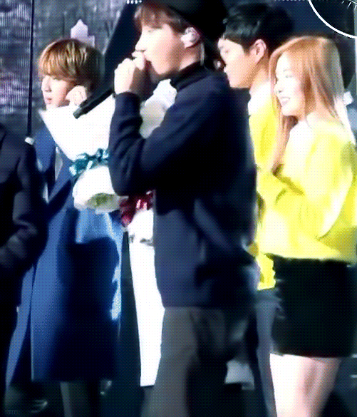 Park Bo Gum, BTS V
