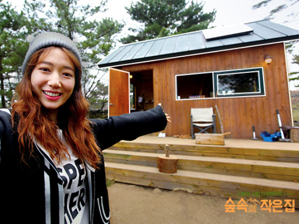Park Shin Hye