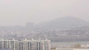 "미세먼지, 인지발달 저해·태아 사망도 초래…대책 시급"