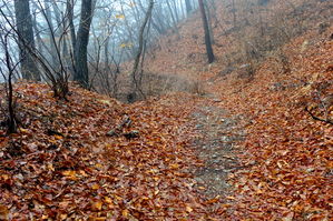 [라이프] 구비야 구비야 눈물이 난다 - 문경새재 과거길 ③