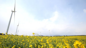 직장인이 살고 싶어 하는 도시 1위는 '제주도'