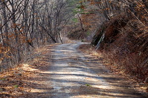 [라이프] 굽잇길의 설렘과 그리움 - 온달평강 로맨스길 ①