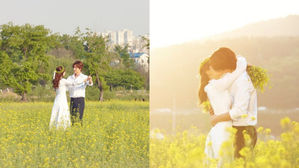 [SBS Star] Park Hae Jin's Romantic Proposal in a Field of Beautiful Flowers