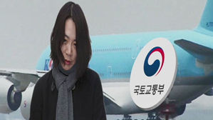 '땅콩 회항' 재발 방지안 냈는데&hellip;국토부 허위보고 의혹