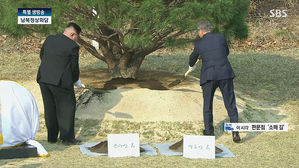 [남북회담 영상] 남북 정상, 53년생 소나무 심어&hellip;평화 염원하며 '합토합수'