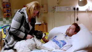 [뉴스pick] 세상 떠나는 주인의 작별 인사…다 아는 듯 지켜준 반려견