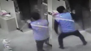 [영상pick] 엘리베이터 문에 목줄 걸린 강아지, 맨손으로 구해낸 택배기사