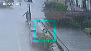 중국 하수구에 빠진 소년을 구한 사람은?