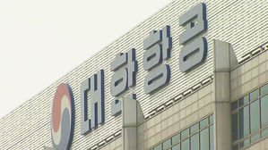 '조 씨 일가' 수사 불똥…대한항공 외환거래법위반 압수수색