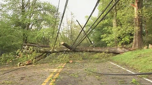 '120km 강풍' 미국 북동부 초강력 폭풍 강타&hellip;4명 사망