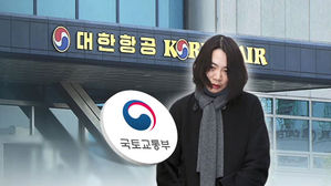 국토부, 3년 6개월 만에 '땅콩 회항' 징계 추진&hellip;뒷북 빈축