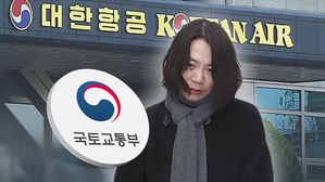 '땅콩 회항' 3년 만에 징계 추진&hellip;'뒷북 조치' 빈축
