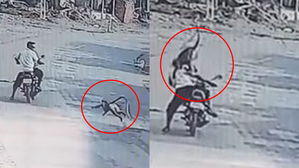 [영상pick] 길 지나가는데 갑자기&hellip;원숭이에 무차별 공격 당하는 사람들