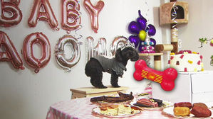 자식 같은 반려동물에 아낌없이…'가정의 달' 매출도 껑충