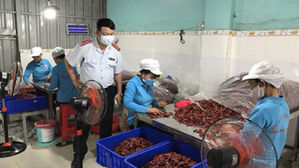 베트남서 고춧가루·말린고추 36% 발암물질 기준치 초과