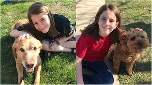 [뉴스pick] "1백만 장 올릴 거야"…만나는 강아지마다 사진 찍어서 올리는 소년