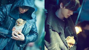 [SBS Star] The Sweet Moment of Park Hae Jin with a Little Puppy in His Arms