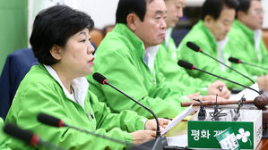 평화당, 국회 외교단 미국 급파 건의…긴급 대책 회의