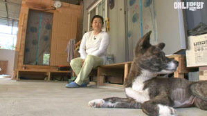 [영상pick] "분명 심장이 멈췄었는데"&hellip;매장 4일 만에 살아 나타난 반려견