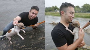 [뉴스pick] 홍수 현장 취재 도중 강아지 발견하고 물속으로 뛰어든 용감한 기자