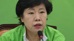 조배숙 "한반도 평화 위한 정부 노력에 적극 협조"