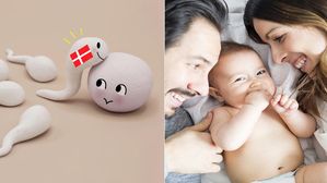 [뉴스pick] "덴마크 정자가 한국보다 우월?"…청와대 청원 출몰하는 '정자 수입'