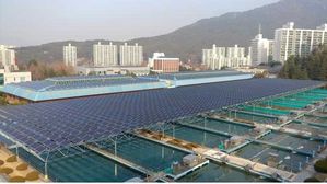 부산 수돗물 과불화화합물 농도 전국 최고 수준 비상