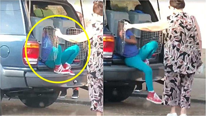 자동차 트렁크 속 개집에 손주들 태운 할머니