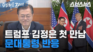 트럼프-김정은 만남의 순간, 문재인 대통령 실시간 반응