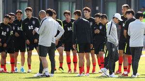 스웨덴, 한국 사전캠프 '염탐'&hellip;인근 건물서 모든 훈련 기록