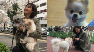 [SBS Star] Yuri Bids Goodbye to Her Dog 'Hani'