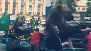 [영상pick] 월드컵 거리 행진서 부부젤라 연주하는 곰&hellip;동물 학대 '논란'