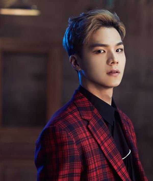 Idols with amazing art skills