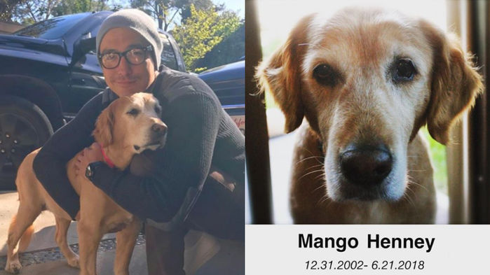 Daniel Henney Shares His Feelings After Losing His Dog 'Mango'