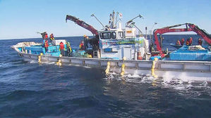 [김범주의 친절한 경제] 명태·꽁치 줄고 고등어·멸치는 늘고…이유 살펴보니